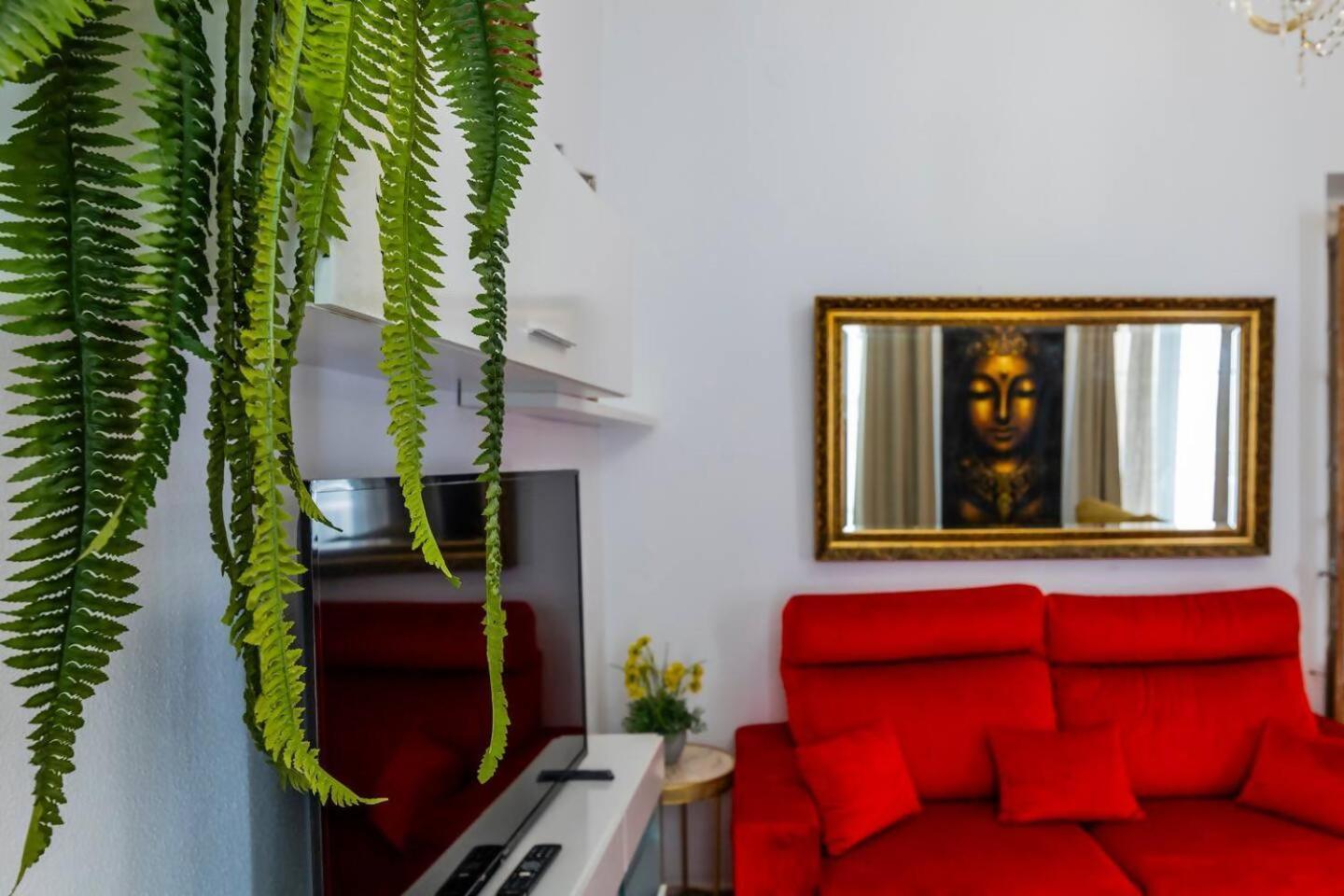 Sh Casa Buda Gran Apartamento En El Centro カディス エクステリア 写真